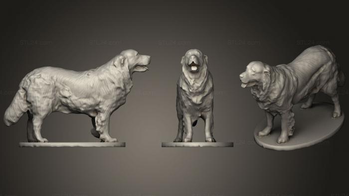 Статуэтки животных (Риспал, STKJ_1783) 3D модель для ЧПУ станка